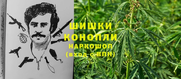 эйфоретик Коряжма