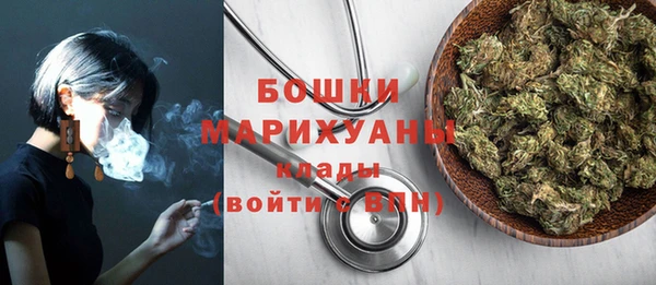 мдпв Костерёво