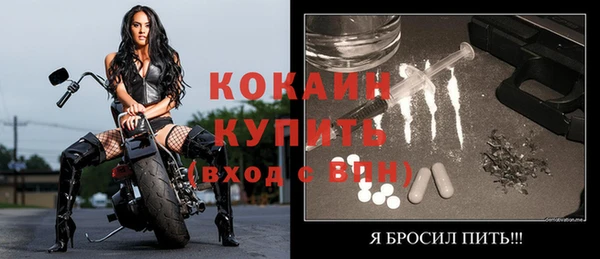 мдпв Костерёво